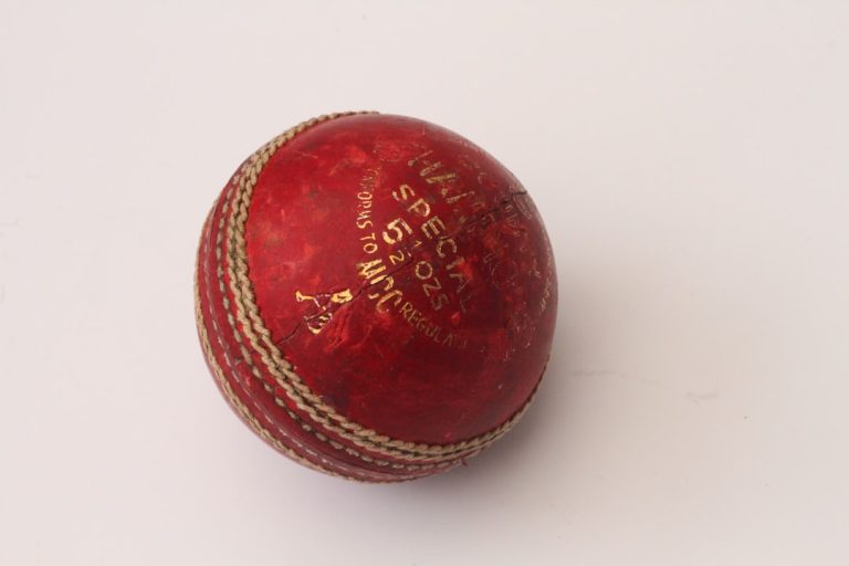 From Fans to Champions – Why Camden Arena is Every Cricketer’s Dream Platform